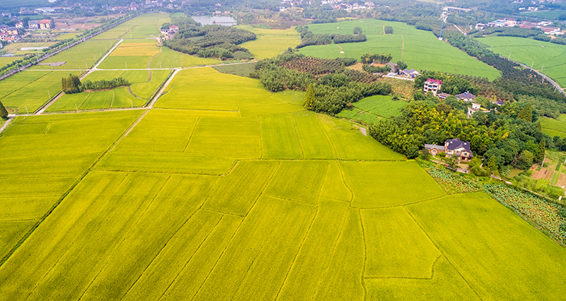 Die Rolle manueller Seilwinden in der Landwirtschaft